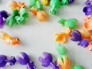 Pesce dorato mini